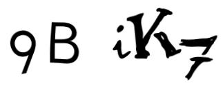 Beeld-CAPTCHA