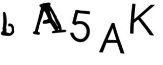 Beeld-CAPTCHA
