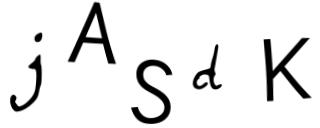 Beeld-CAPTCHA