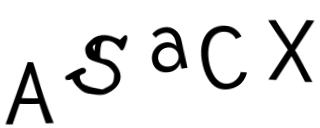 Beeld-CAPTCHA