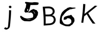 Beeld-CAPTCHA